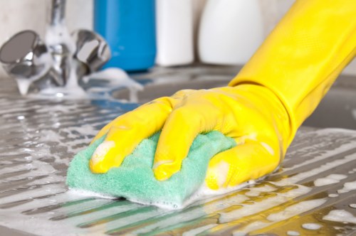 Stain treatment and carpet care details